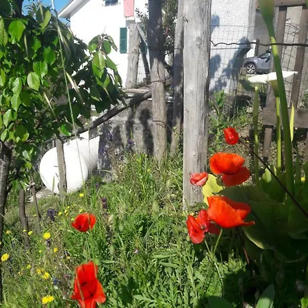 Casa Antonella Carro