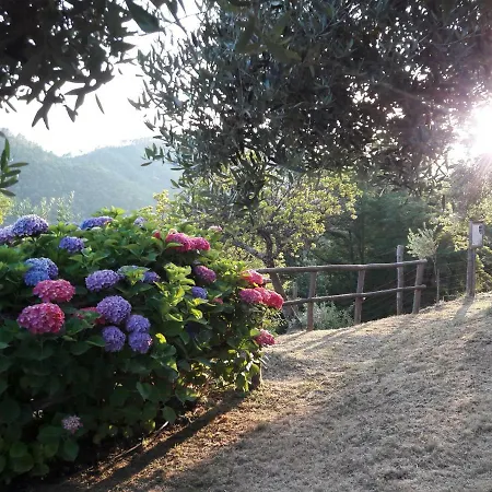 Lägenhet Casa Antonella *